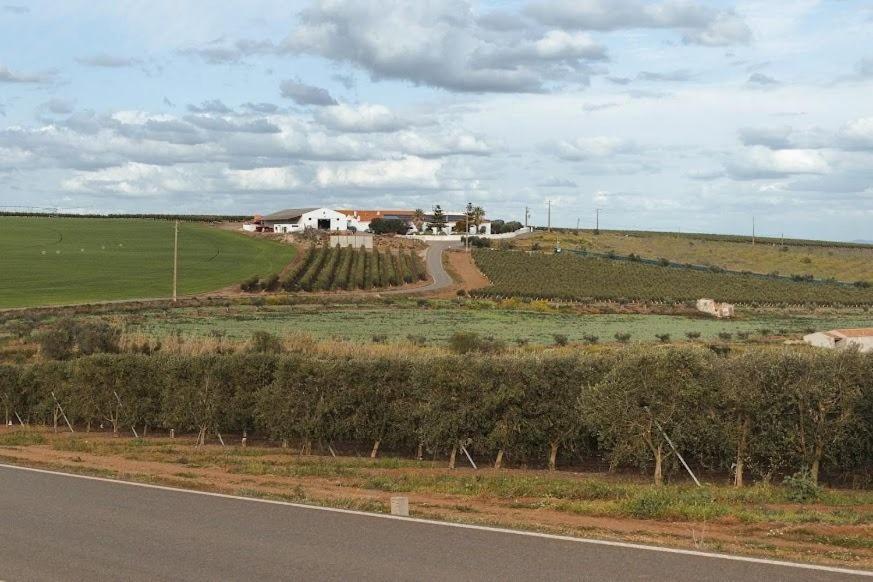 Quinta Do Castelo Hotel Beja Kültér fotó